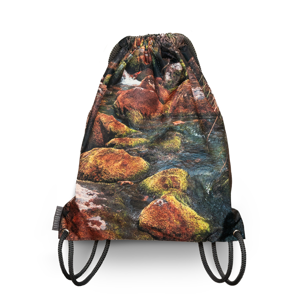 tula-paramo-chingaza-colombia-simbionte