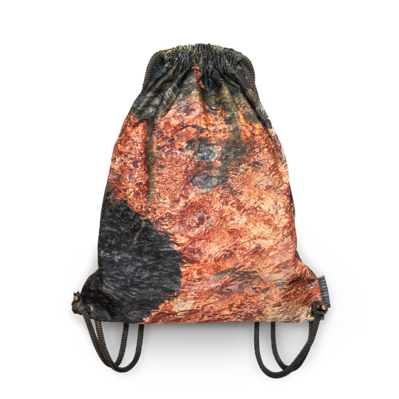 tula-paramo-chingaza-colombia-simbionte