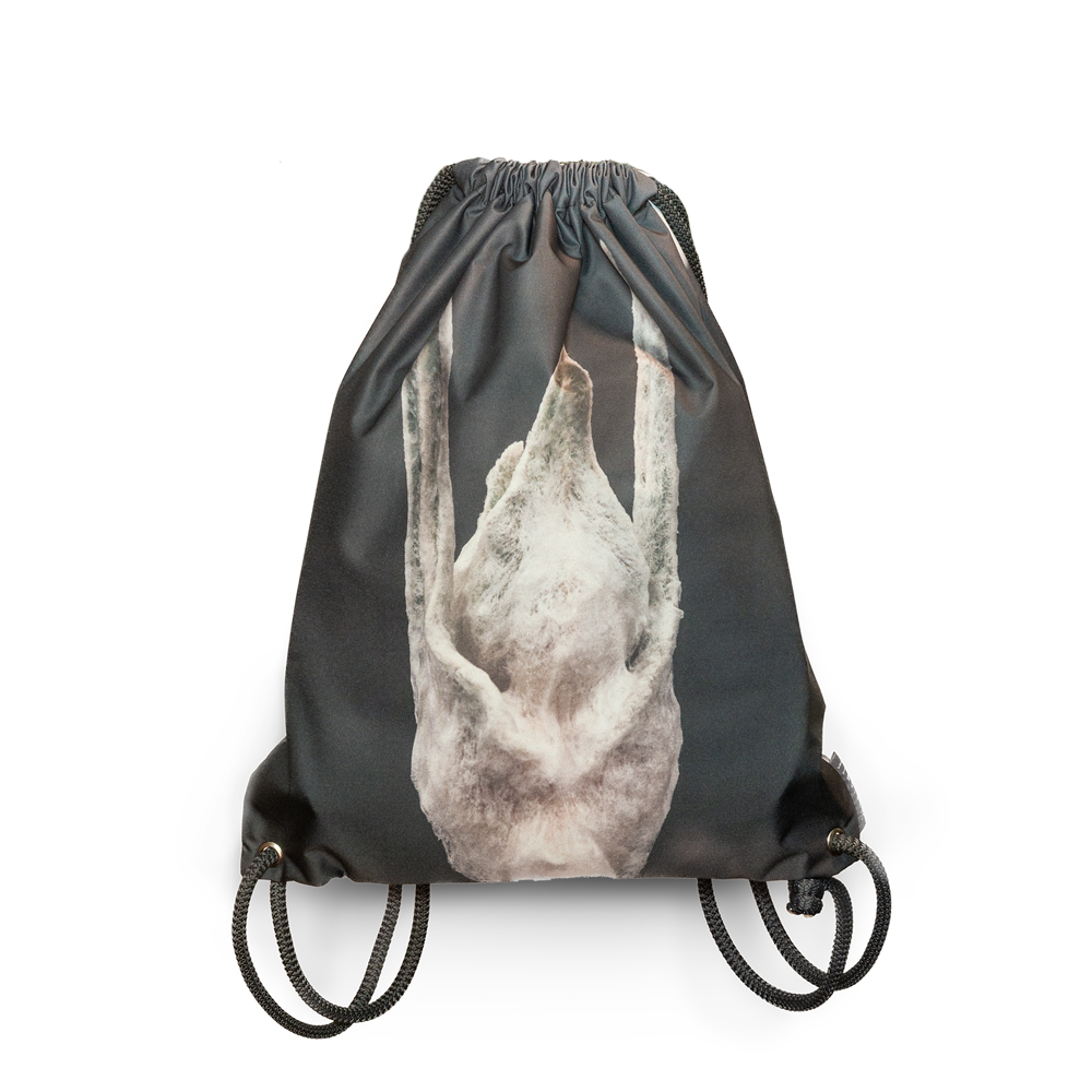 tula-frailejon-sumapaz-simbionte