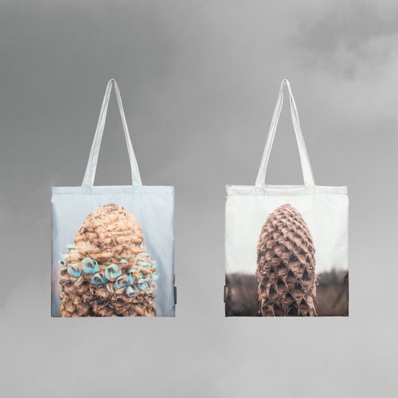 Totebag Puya Santosii - Simbionte