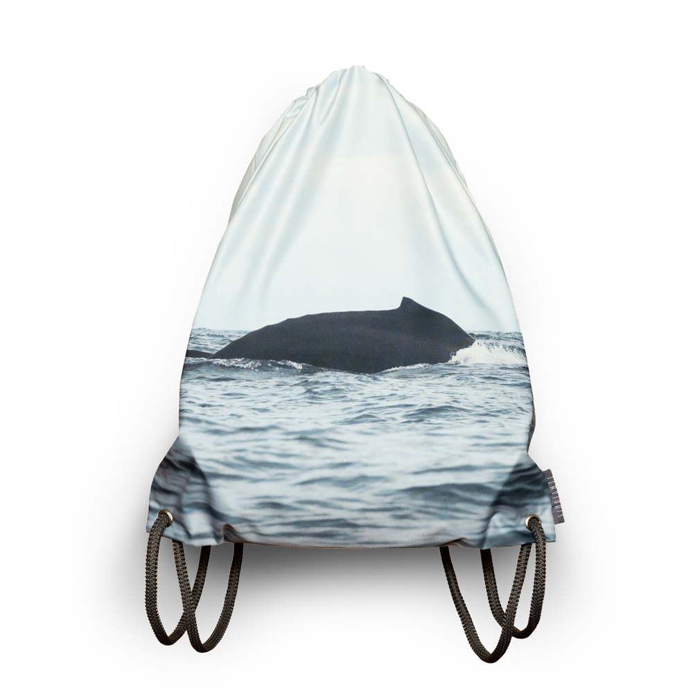 tula-ballena-yubarta-pacifico-colombiano-simbionte