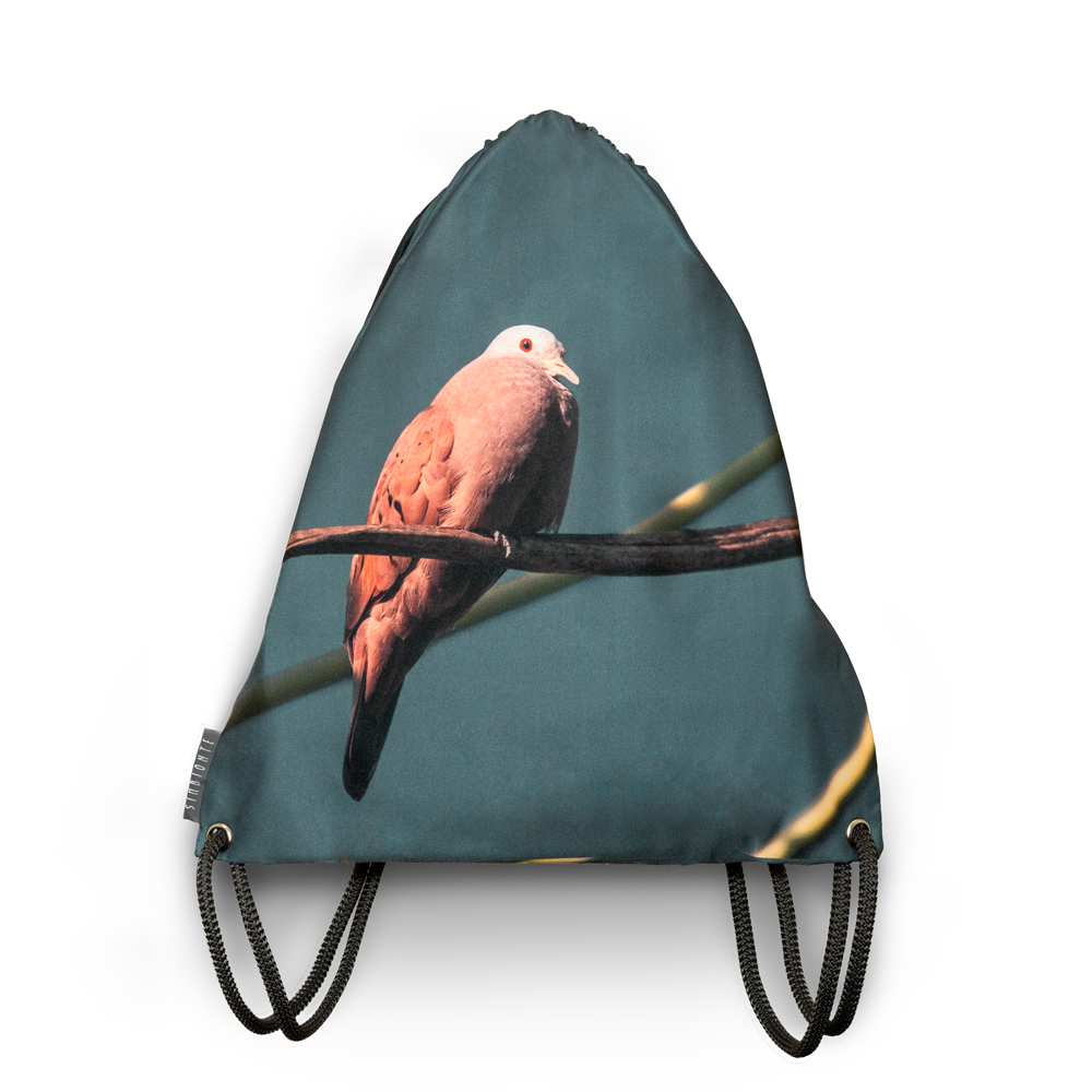 tula-tortolita-talpacoti-simbionte