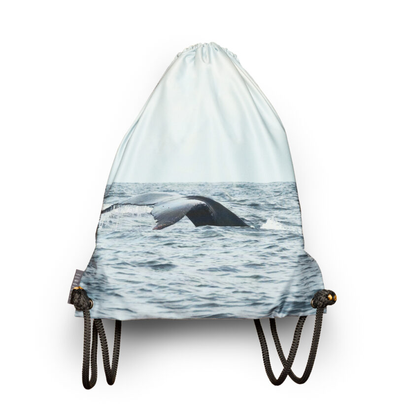 tula-ballena-yubarta-pacifico-colombiano-simbionte