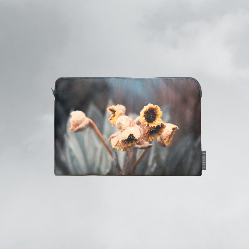 funda-computador-impermeable-simbionte-frailejón-flor-espeletia-páramo