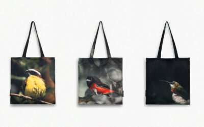 VUELO_TOTEBAGS_3 VUELO_TOTEBAGS_3