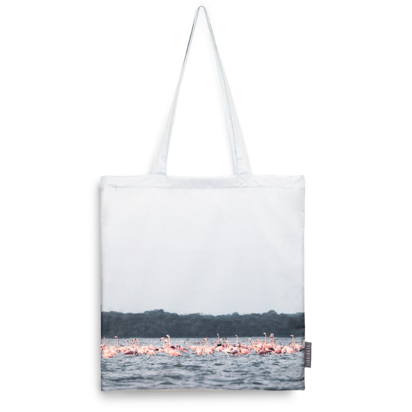 bolso-flamencos-phoenicopterus-ruber-simbionte