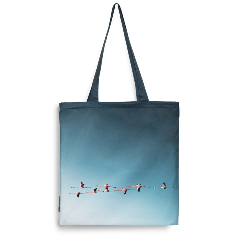 bolso-flamencos-phoenicopterus-ruber-simbionte