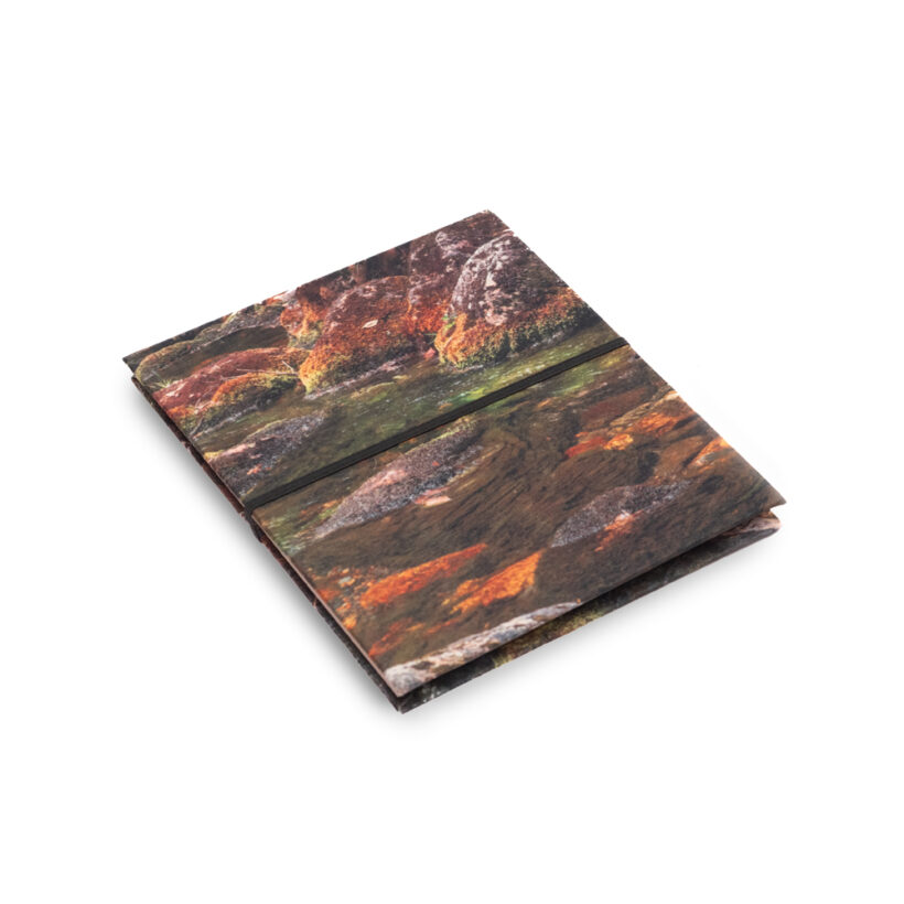 Libreta bromelia - Quebrada, Chingaza (pieza única)