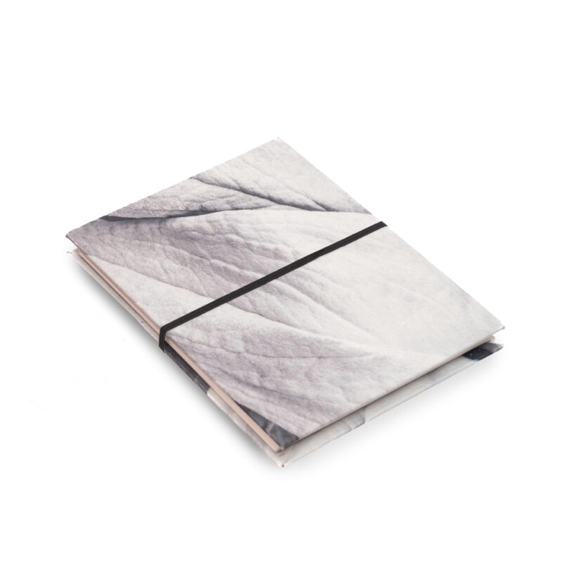 Libreta bromelia - Frailejón, Chingaza (pieza única)