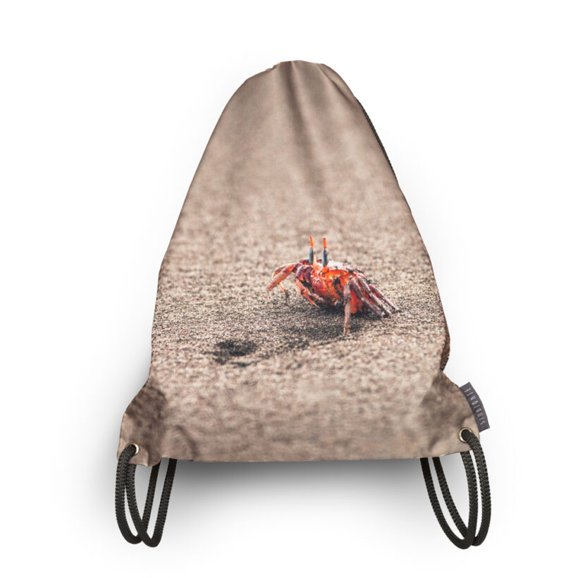 Tula Cangrejo - Ocypode gaudichaudii