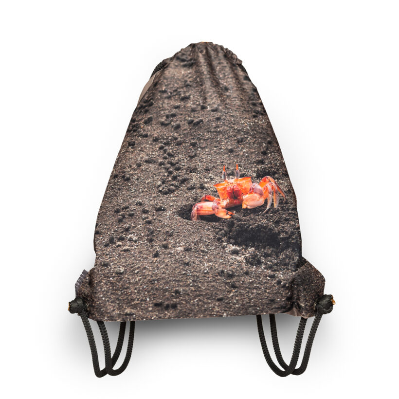 tula-cangrejo-pacífico-colombia-simbionte