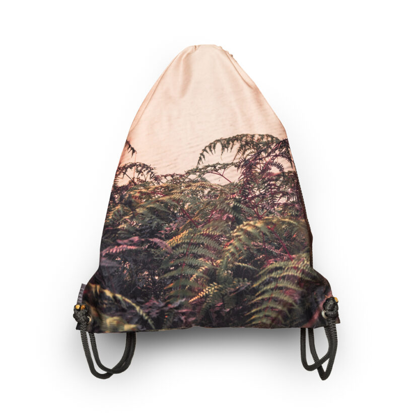 tula-helechos-laguna-tota-boyaca-simbionte