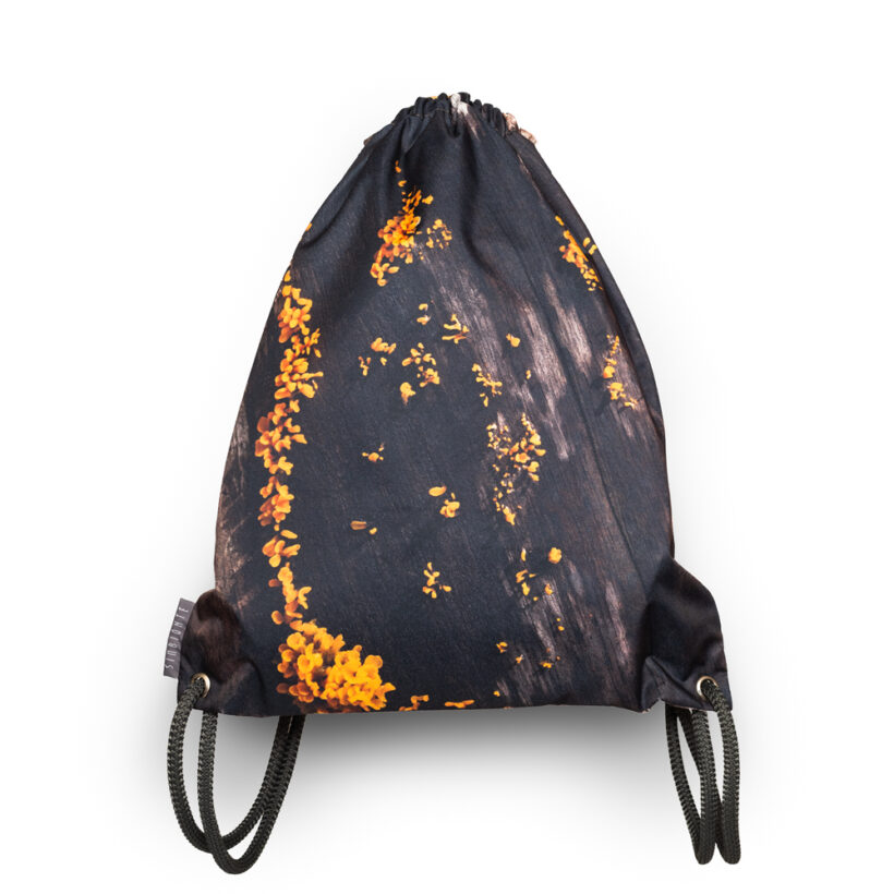 Tula Hongo - Dacryopinax spathularia