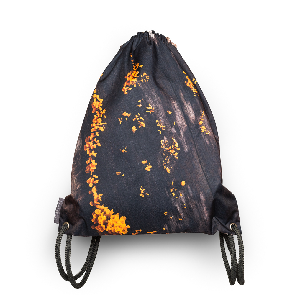 tula-hongo-dacryopinax-spatularia