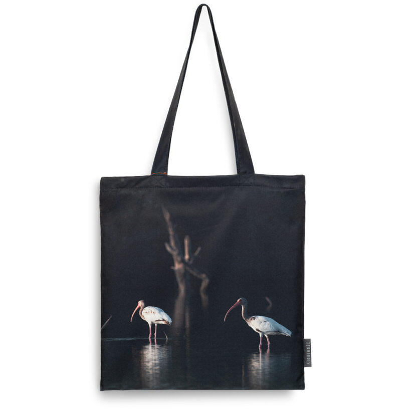 Bolso Garza rojiza e Ibis blanco - Guajira