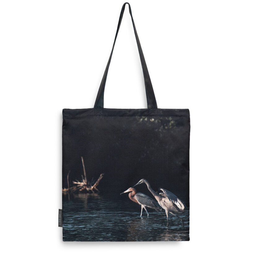 Bolso-ibis-blanco-garza-rojiza-guajira-simbionte