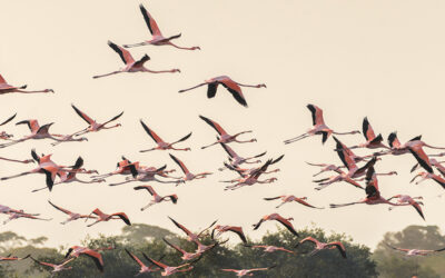 Amanecer en el Santuario