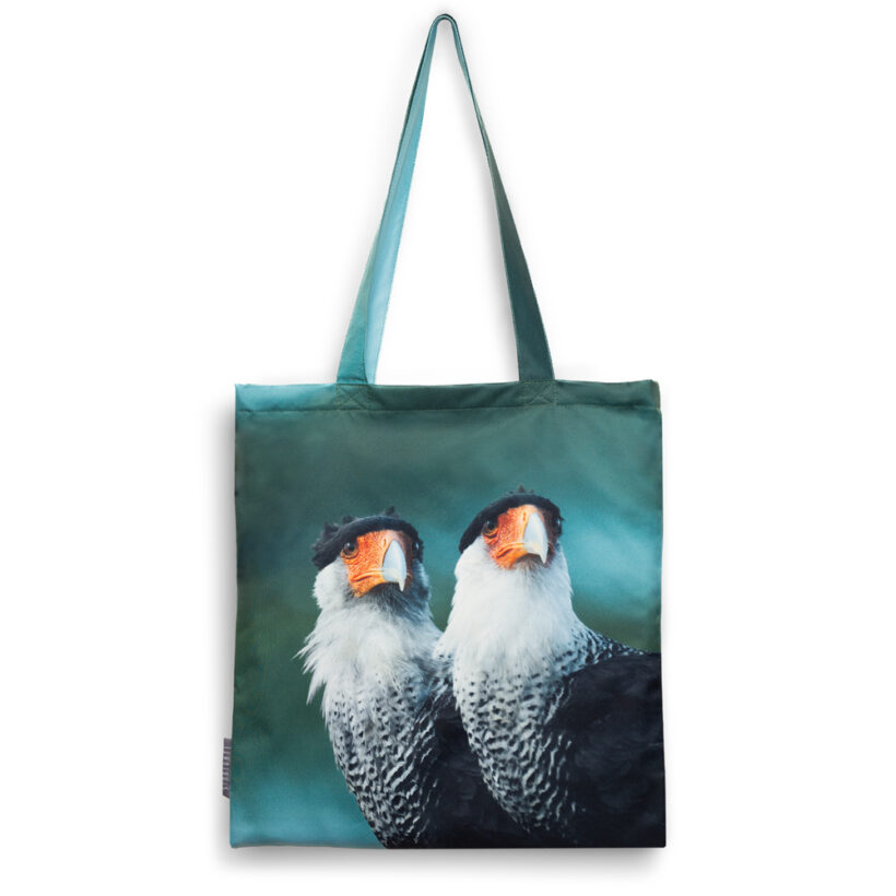 Bolso Caracara plancus - Guajira