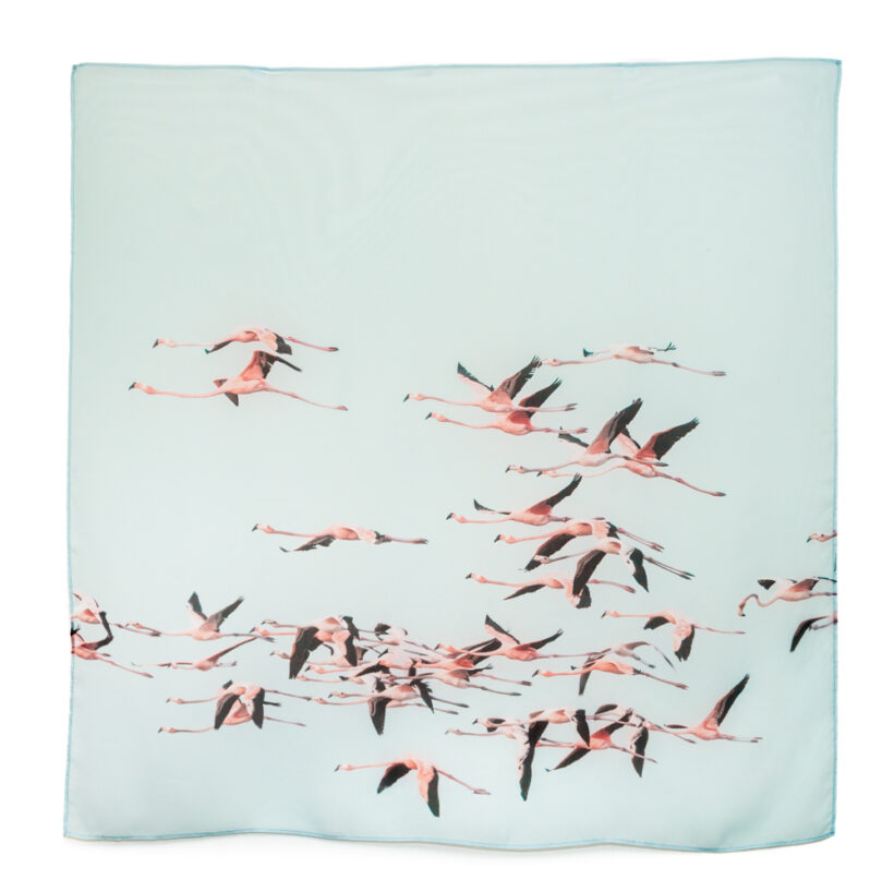 Pañoleta Bandada de flamencos - Celeste, Guajira